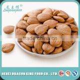 hot sale bitter and sweet organic apricot nut for snack and beverage