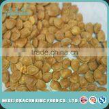 2016 New Crop Organic Apricot Nuts & Kernels thumbnail-4