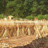 Raw Broom Stick Wooden Origin of Vietnam Only From KEGO Factory thumbnail-1