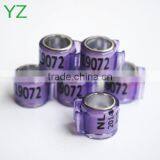 2015 Newest Dutch Pigeon Ring For Sale By YZ Factory EXW Price thumbnail-4