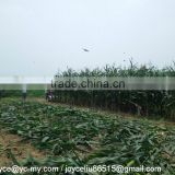 Corn Harvester With Low Prices thumbnail-3