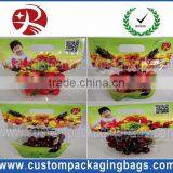 Clear Plastic Fruit Laminated Bunch Bag Slider Zipper Bags Apple / Grape Laminated Bunch Bag thumbnail-1