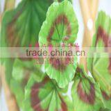 2014 High Quality Popular Simulation Rattan ,artificial Cane,fake Rattan thumbnail-1