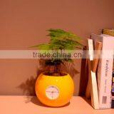 Happygenius Desktop Self-Watering Flower Pot With Clock thumbnail-5