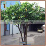Artificial Lemon Tree for Weddings