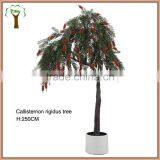 Artificial Callistemon Rigidus Tree thumbnail-1