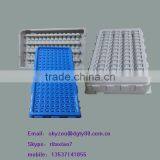 Hard PVC Material Vacuum Forming Plastic Seedling Tray With High Quality thumbnail-1