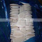 Frozen Squid Tube thumbnail-2