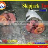 FROZEN SKIPJACK TUNA WHOLE ROUND thumbnail-1