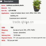 Customized Design Sweet Desert Rose for Table Decoration thumbnail-2