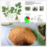 Herba Epimedii thumbnail-1