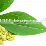 Coleus Forskohlii Extract thumbnail-3