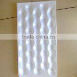 PP 30# /36# 29*49cm Kiwi Punnet Tray thumbnail-5