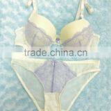 New Design FASize OEM Underwear Women Push Up Bra Brief Photo thumbnail-3