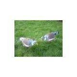 Wood Pigeon Decoys With Flexi-Stakes, Eco-friendly Flocked Crow Decoys With Legs And Stick For Hunti