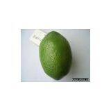 Artificial Vegetable thumbnail-1