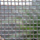 Square Wire Mesh/ Plain Square Mesh/ Hardware Cloth