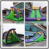 HI Best Price Funny Commercial Inflatable Slide, Cheap Giant Inflatable Water Slide for Sale