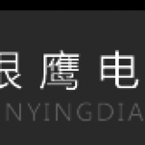 SHENZHEN SILVEREAGLE ELECTRONIC CO.LTD