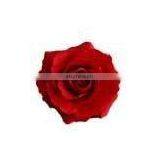 Handmade Natural Rose Soap thumbnail-1