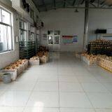 Weifang Junlong Machinery Co. LTD company overview - view 4 thumbnail