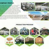 Qingdao Huamao Evergreen Industrial Co.,Ltd company overview - view 3 thumbnail