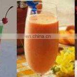 Hot Selling Factory Price Juice Machine Slush Machine for Sale thumbnail-4