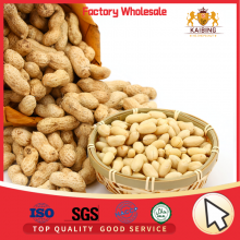 HIGH QUALITY BLANCHED PEANUT KERNELS 29/33  BY JUNAN KAIBING
