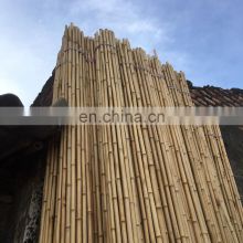 Cheap Price and Premium Quality 100% Real Bamboo Viet Nam various size for making furniture from distributor