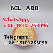 Top quality  CAS 59-30-3 5CL ADB Folic Acid