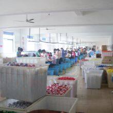 Shenzhen RST Gifts Company company overview - view 2 thumbnail