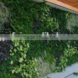 fabric material artificial grass garden wall plants artificial vertical grass &plants for walls