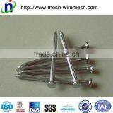 China Factory Common Nails/square Boat Nails/roofing Nails thumbnail-4