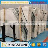 White Marble Panda White Slab for Bookmatch thumbnail-3