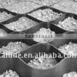 Soil Stabilization Geocell thumbnail-1
