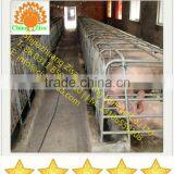 pig feed equipment