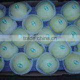 Golden Delicious Apple thumbnail-1