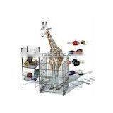 Retail Store Interior Design