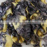 Mixed Colors Worsted Wool Pashmina Shawl thumbnail-5