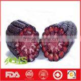 Top Quality Purple Corn for Export thumbnail-3