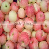 Supply Red Gala Apple