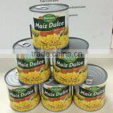 High Quality Canned Sweet Corn Kernel thumbnail-4