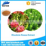 Low Price 3% rhodiola rosea extract rosavin with Salidroside 1% wholesale online