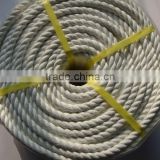 Polyester rope