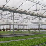 Professional Multi-Span Pvc Covered Greenhouse For Agricultural Planting thumbnail-3