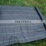 Qingdao pp Weed Control Cloth thumbnail-1