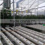High-tech Greenhouses and Hydroponic Systems thumbnail-2