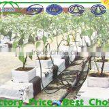 Poly Tunnel Agriculture Greenhouse China Factory thumbnail-1