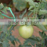 100pcs Per Bag Kraft Paper Twist Tie For Agriculture thumbnail-5