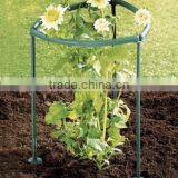 Plants Support 8pc/set,2015 Hot Selling thumbnail-4